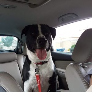 Meet your Posher, Ben